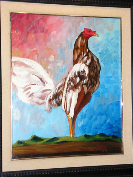 Gallo de pelea