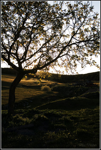 Atardecer en el nogal
