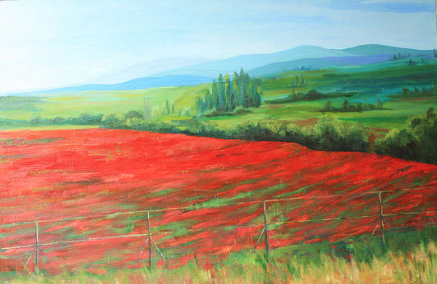 CAMPOS CON AMAPOLAS