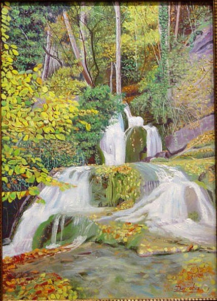 Catarata en la...