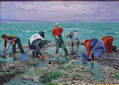 Mariscadoras faenando