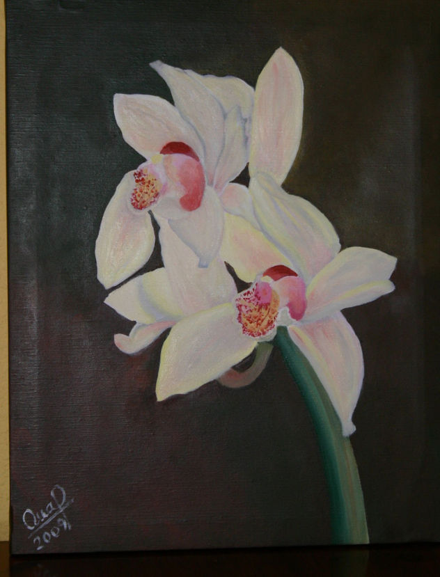 ORQUIDEAS