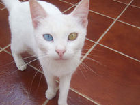 Misterio en su mirada