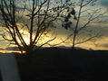 Desde mi ventana