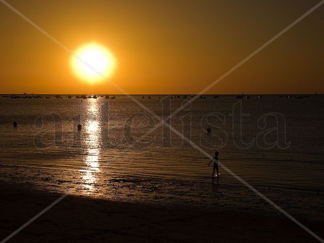 ocaso en libertad Other Themes Color (Digital)