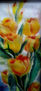 FLORES 1