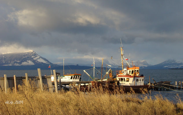 Amaneciendo en la bahía de Puerto Natales, Chile. Nature Color (Digital)