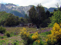 Paisaje sureño