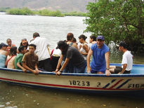 Isla de venado,