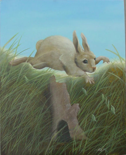 Conejo