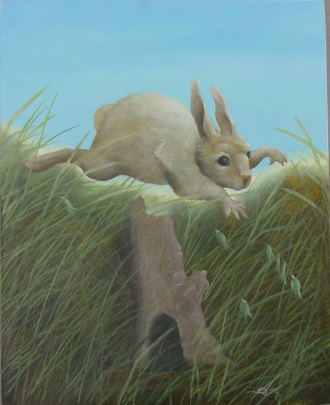 Conejo