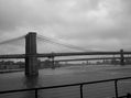 La guerra de los puentes de Nueva York