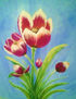 flor de tulipan