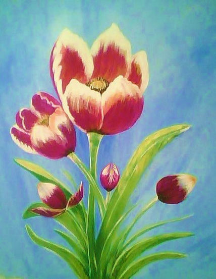 Flor de tulipan