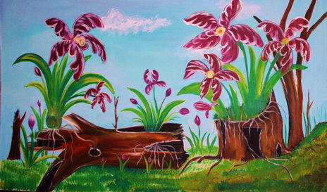 Orquideas...