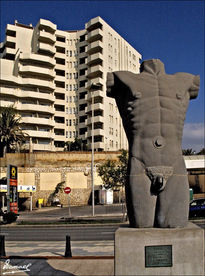 Torso casamayor...