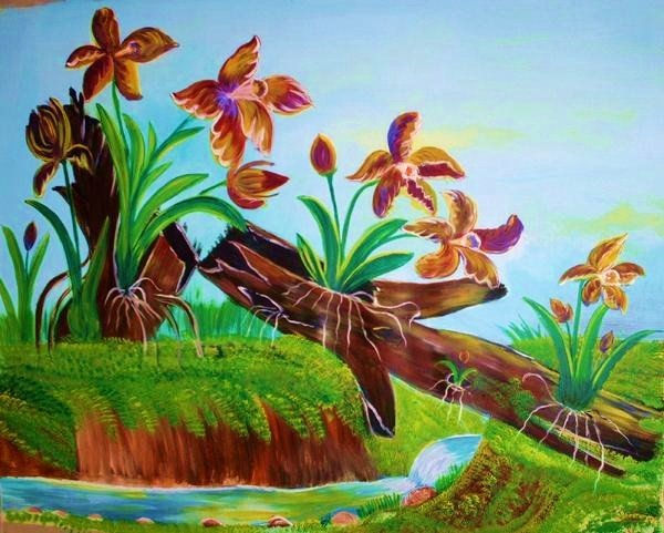 Orquideas en tronco caido
