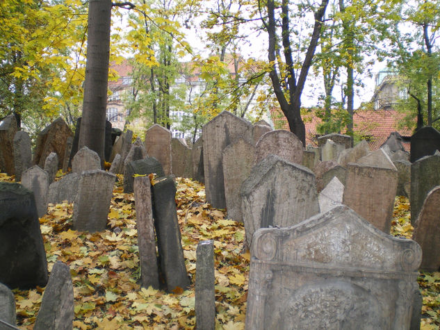 Otoño en el  cementerio 