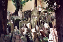 Cementerio Judio