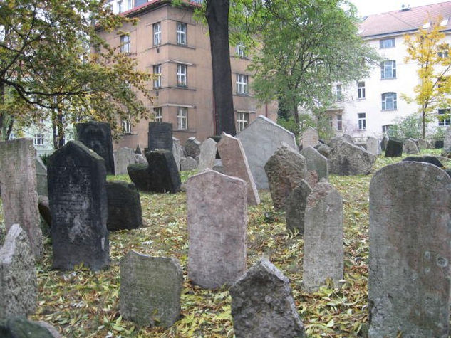 Cementerio Judio 