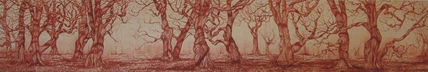 Bosque de irati