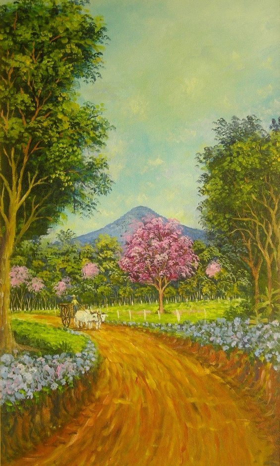 Camino, carreta y tajy rosado