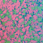 Morada interior thumbnail 2
