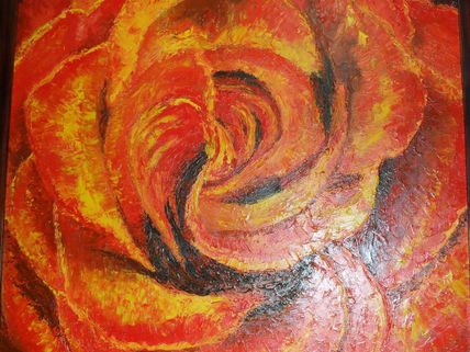 Rosa pasion