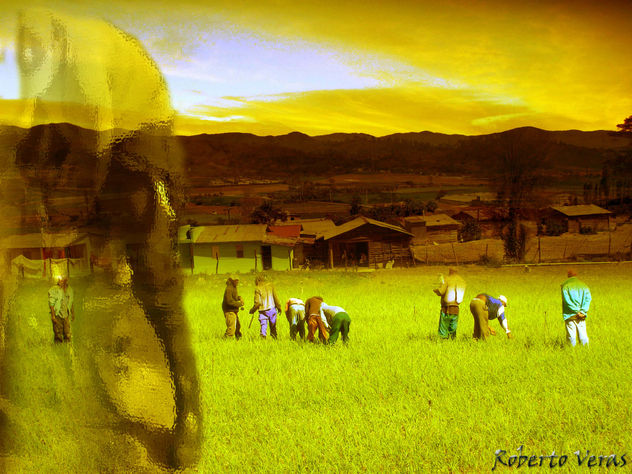 EL CIELO CAMPESINO