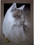 Retrato