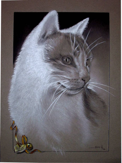 Retrato
