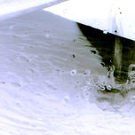 fotografía thumbnail 1