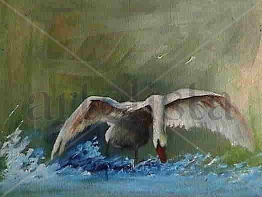 CISNE BLANCO Oil Canvas Animals