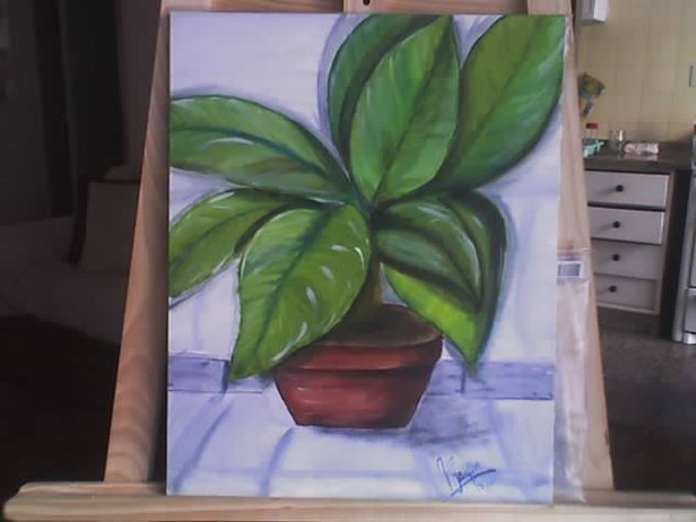 plantas de mi balcon Acrylic Canvas