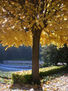 otoño