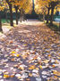 otoño