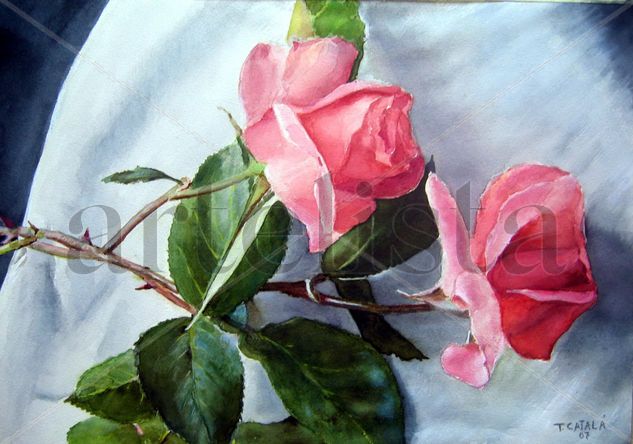 DOS ROSAS ROSA Watercolour Paper Landscaping