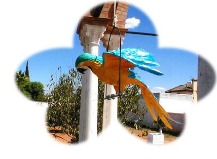 Guacamaya 1