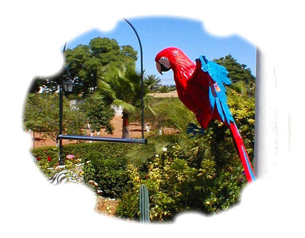 Guacamaya 2