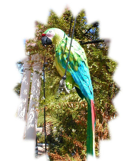 Guacamaya 3
