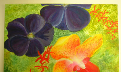 Orquideas