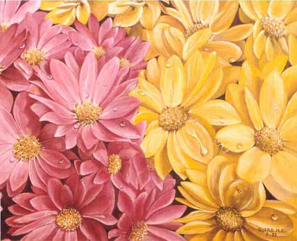 Flores rosas y...