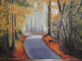 bosque con niebla
