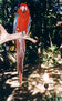 CANCUN 2002