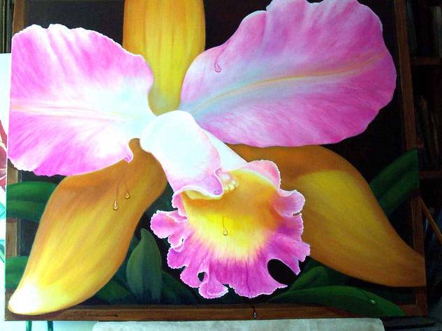 Orquidea Oil Canvas