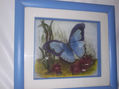 BUTTERFLAY BLUE
