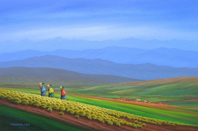 Paisaje Andino