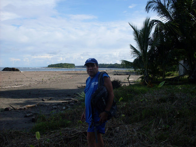 tortuguero,costa rica, zona atalntica 