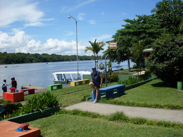 tortuguero,costa rica, zona atalntica 