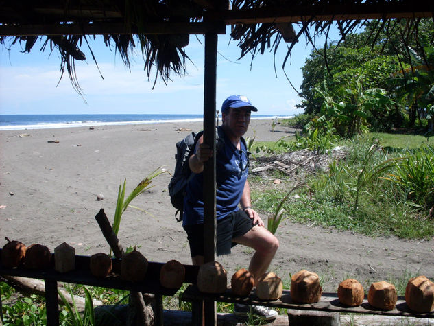 tortuguero,costa rica, zona atalntica 